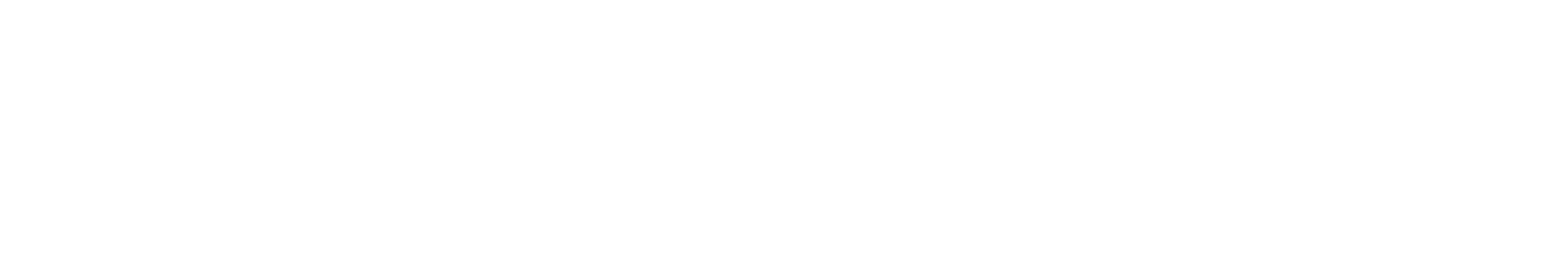 sincerus_logo_bianco@2x